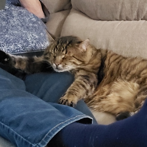 Muggles - Picture 3 of 6